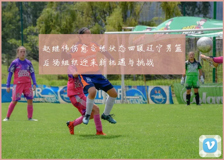 赵继伟伤愈合练状态回暖辽宁男篮后场组织迎来新机遇与挑战
