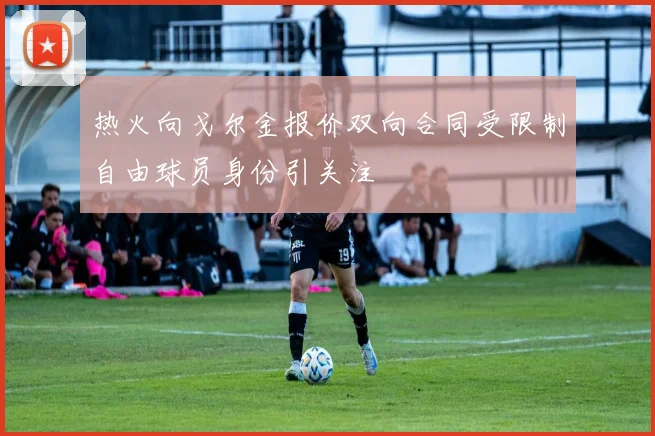 热火向戈尔金报价双向合同受限制自由球员身份引关注